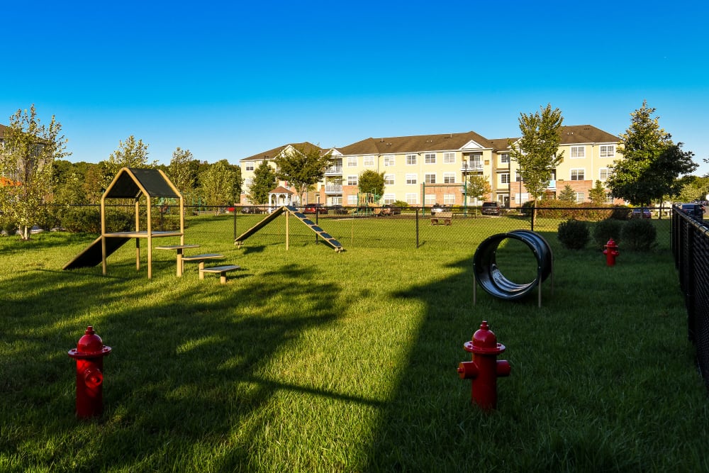 Dog park with agility course at Aspen Court in Piscataway, New Jersey