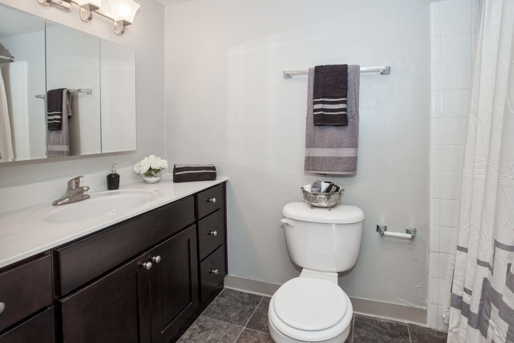 Well lit model bathroom at Hunters Crossing, Newark, Delaware