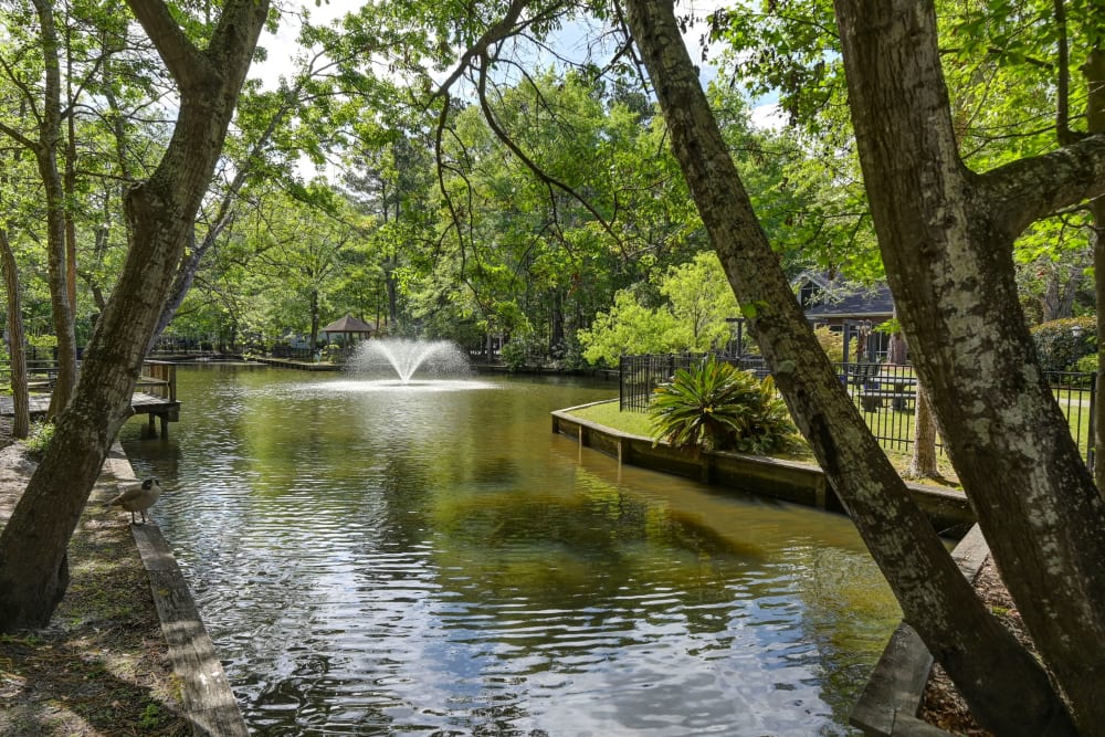 Pond with a fountain at The Village at Summerville in Summerville, South Carolina
