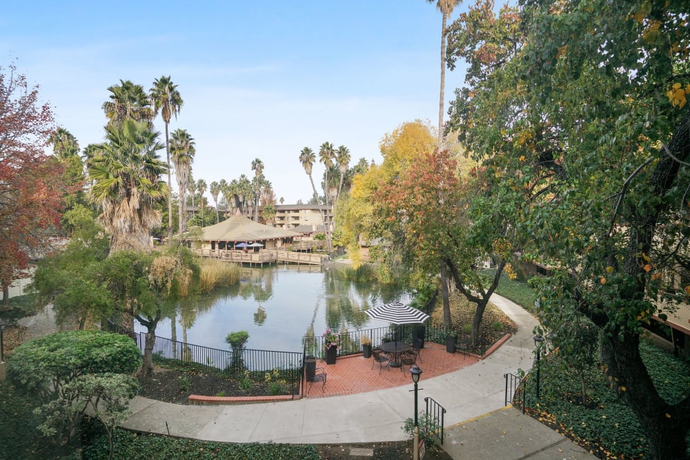 Courtyard view of the pond and leasing office at Palm Lake Apartment Homes in Concord, California