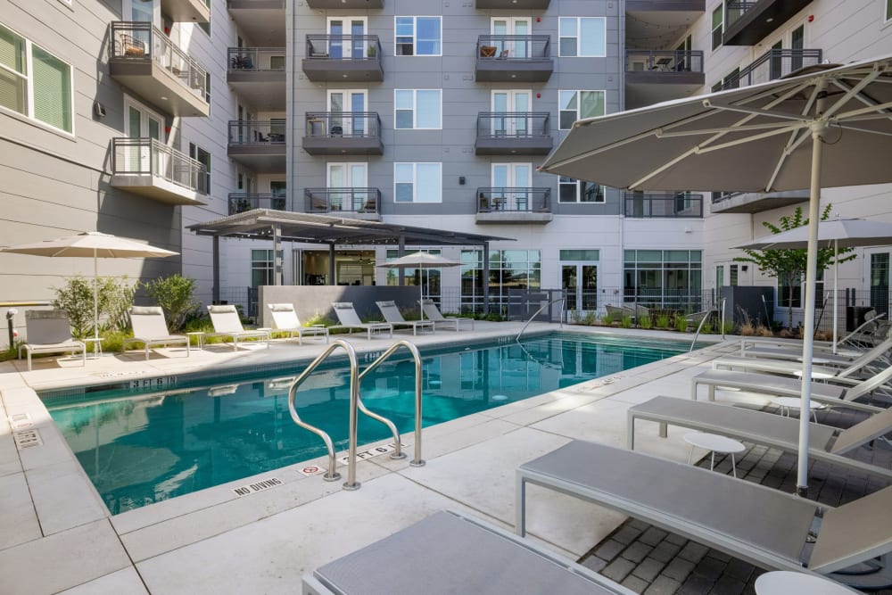 Swimming pool with seating at 44 South in Austin, Texas