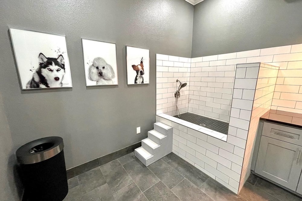 Enjoy apartments with a dog washing station at The Abbey at Energy Corridor in Houston, Texas