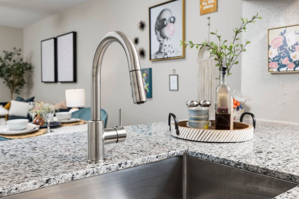 Kitchens with modern appliances at Trinity at the Hill in Carrboro, North Carolina