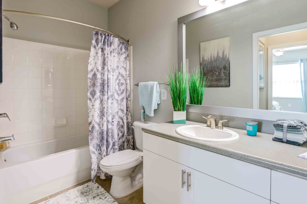Our Beautiful Apartments in Clermont, Florida showcase a Bathroom