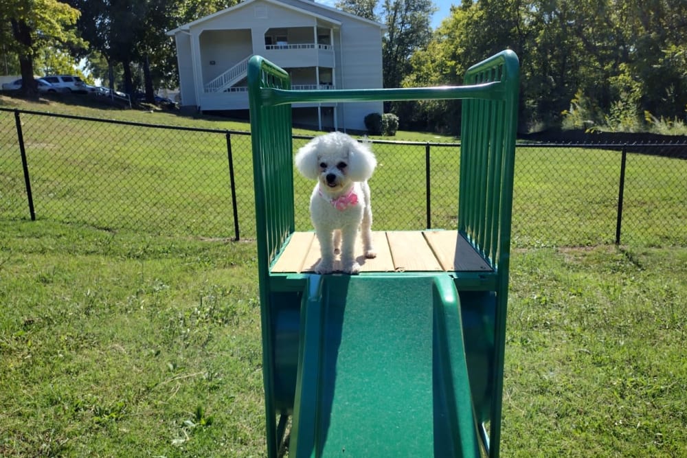 Playground area featuring a slide at Pebble Creek Apartments in Antioch, Tennessee