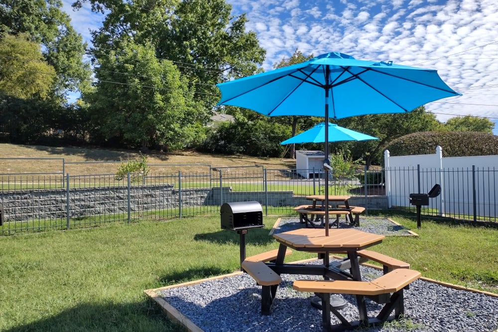 Community charcoal grilling and playground at Pebble Creek Apartments in Antioch, Tennessee