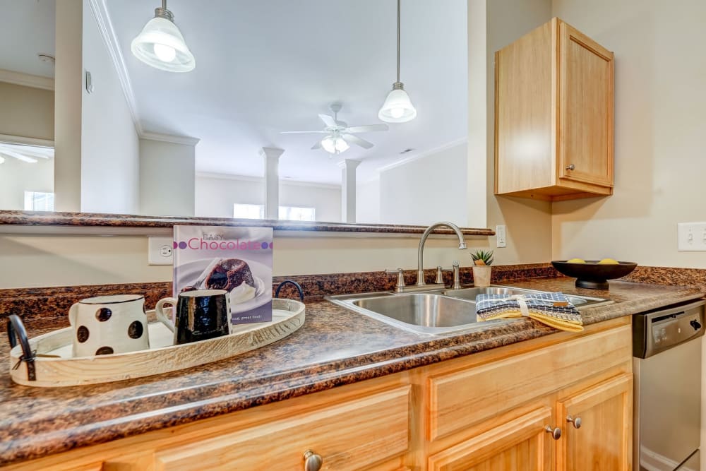 Kitchen counter at Carden Place Apartment Homes in Mebane, North Carolina
