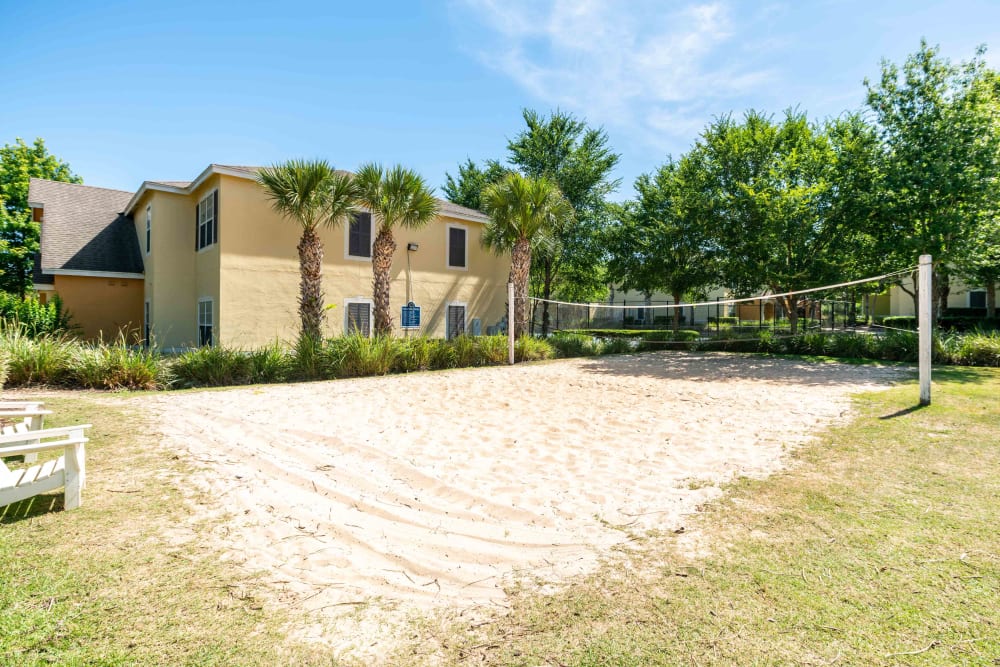 Volleyball Court at Citrus Tower in Clermont, Florida