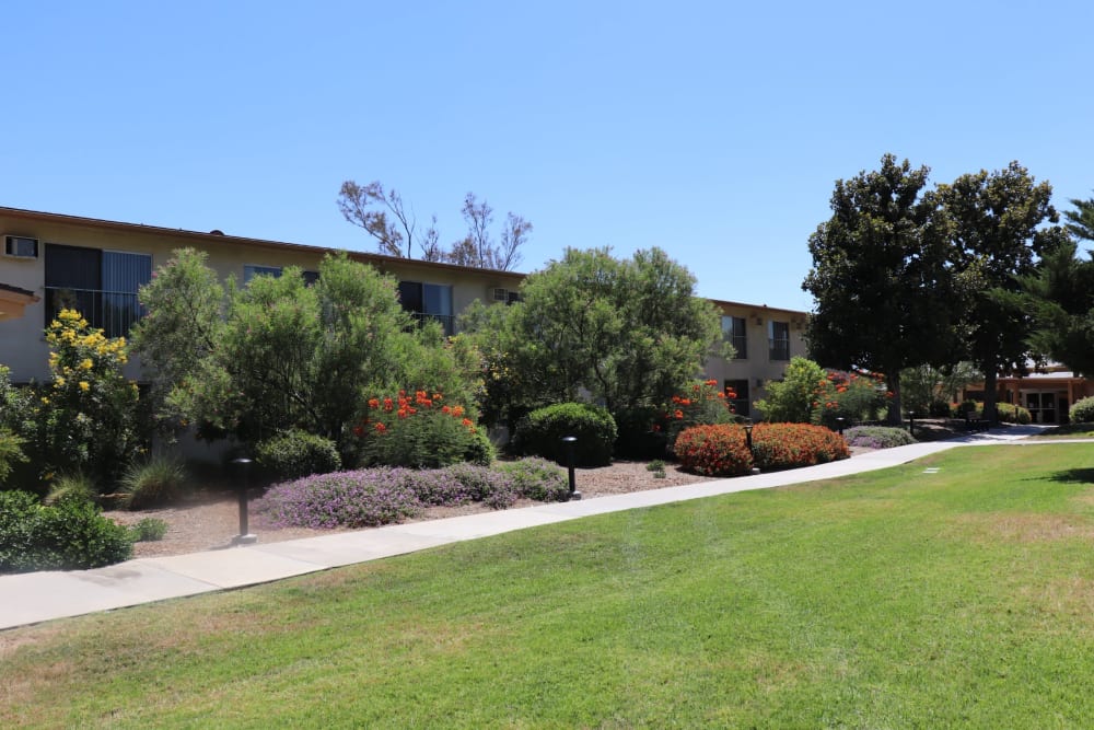 Courtyard and walkways at Sun City Gardens in Sun City, California