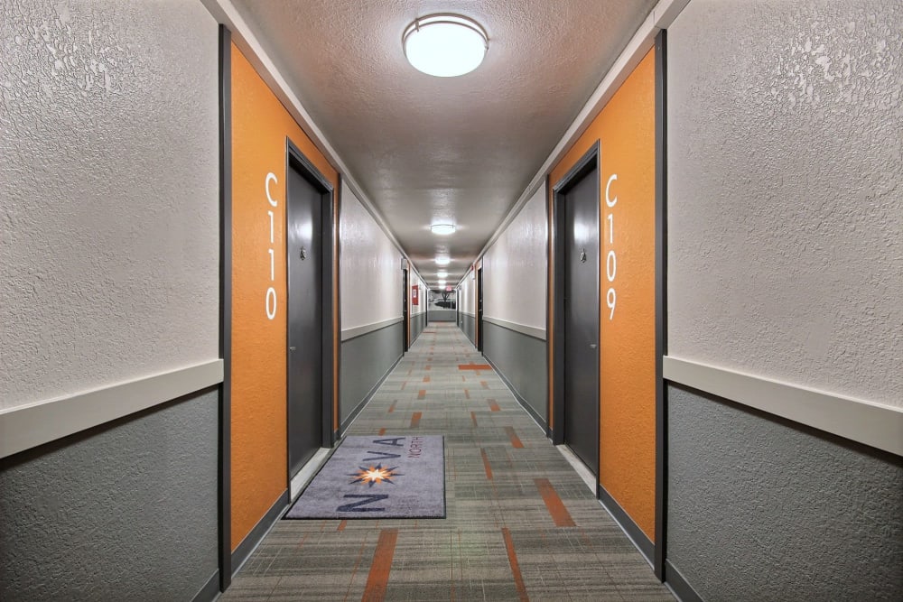 Hallway with fun carpet designs at Nova North in Everett, Washington