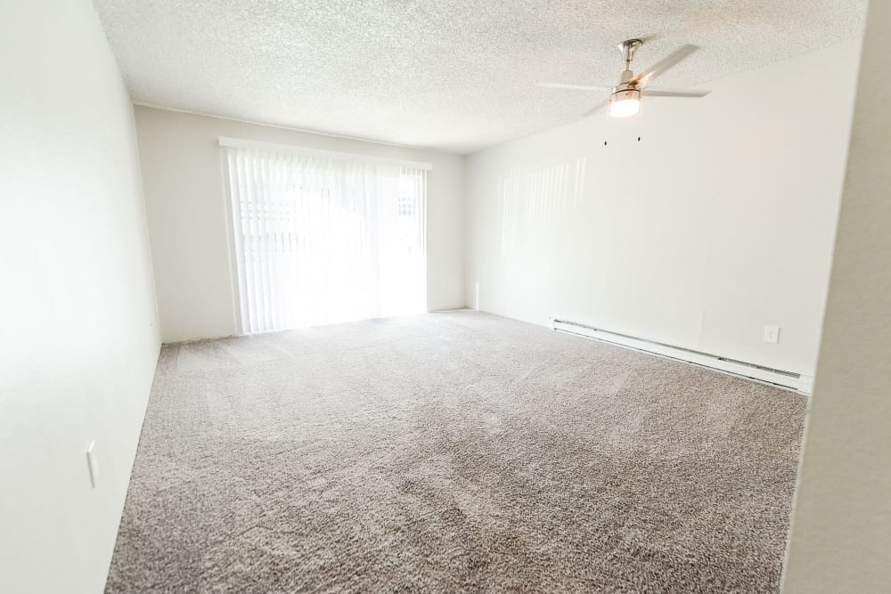 Quality carpet in living room at Nova North in Everett, Washington