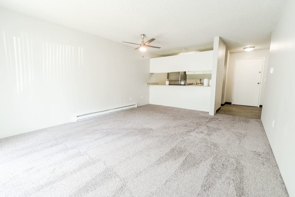 Empty living room with nice carpet at Nova North in Everett, Washington