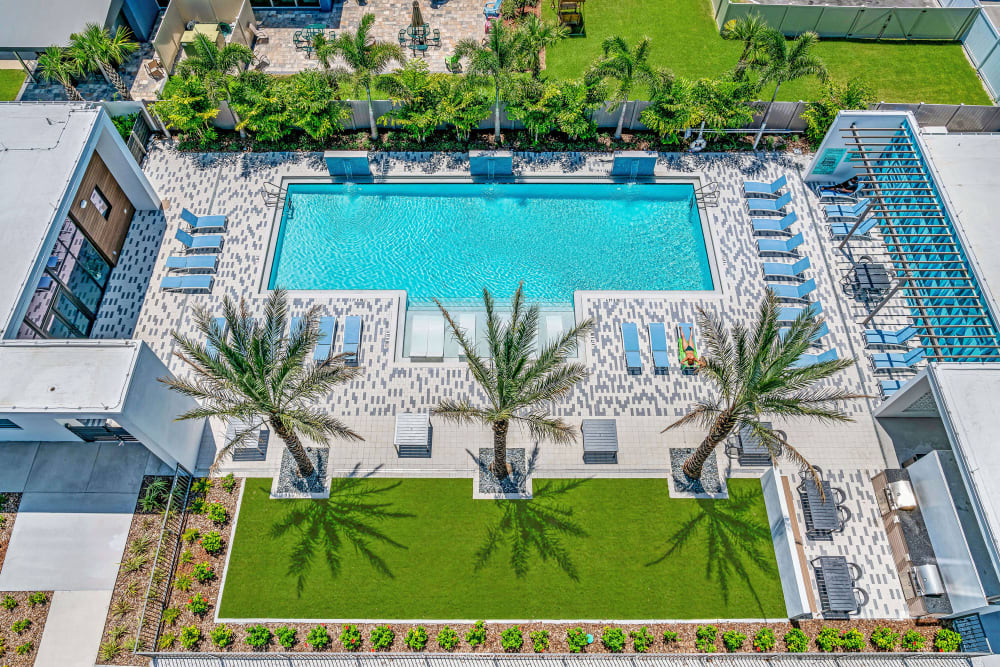 Aerial view of the pool at Elements on Third in St Petersburg, Florida