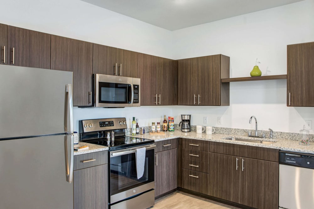 Apartment kitchen at Elements on Third in St Petersburg, Florida