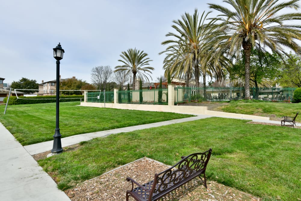 Spacious grassy lawn at Emerald Park Apartment Homes in Dublin, California