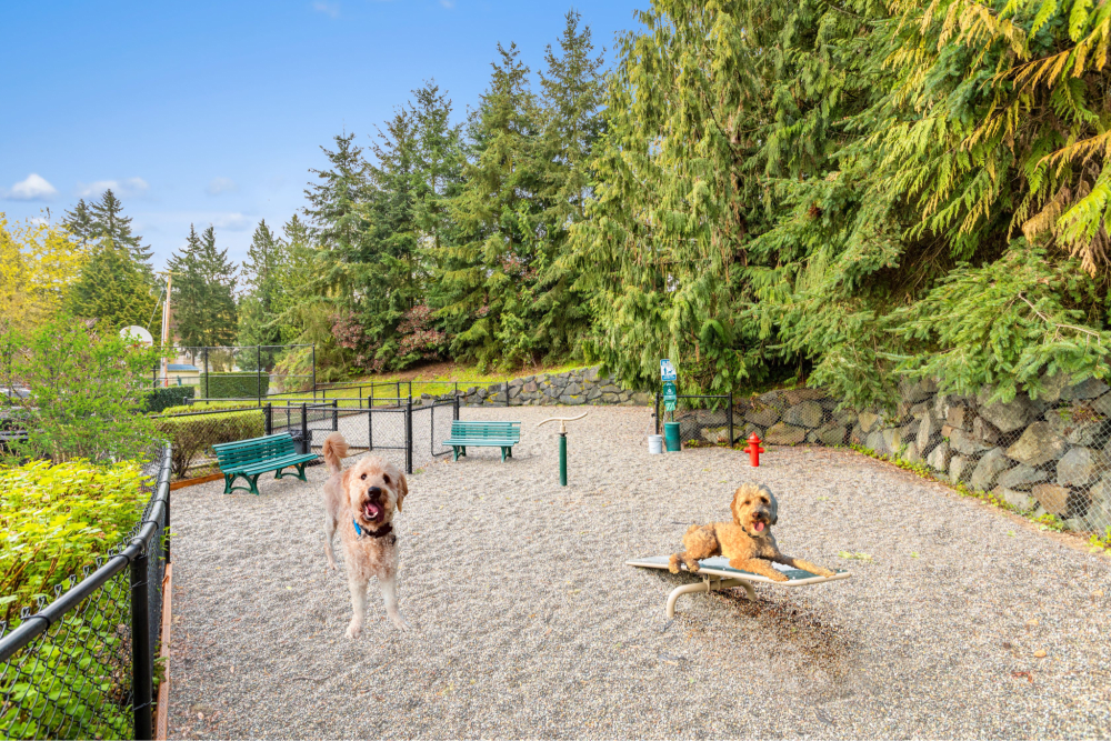 The community dog park at Brookside Village in Auburn, Washington