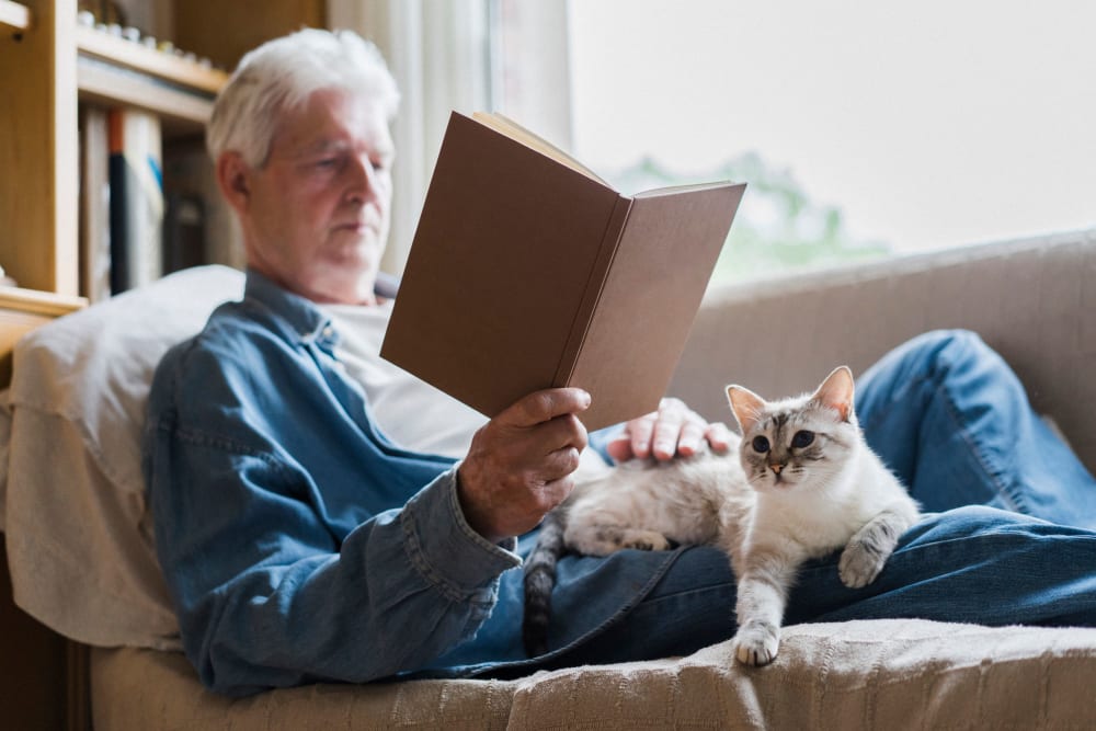 Resident reading a book with a cat at The Peaks at Clinton Memory Care