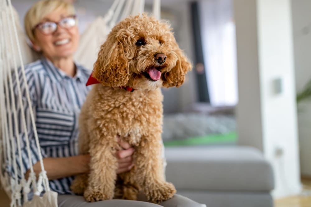 Pet Friendly at The Peaks at Clinton Memory Care