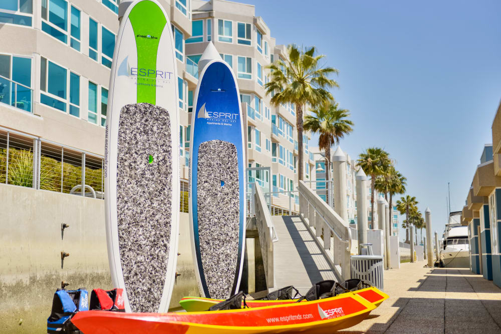 Paddle Boards at Esprit