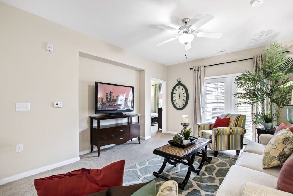 Model living space with TV at Olympus at Jack Britt in Fayetteville, North Carolina