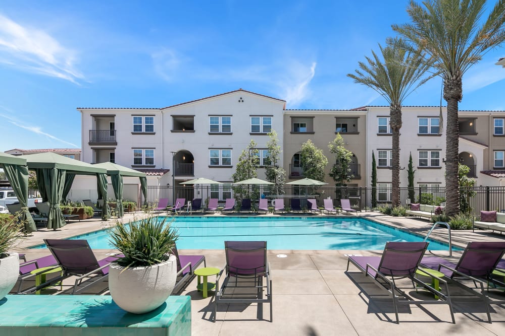 Lounge chairs by the pool at Alivia Townhomes in Whittier, California