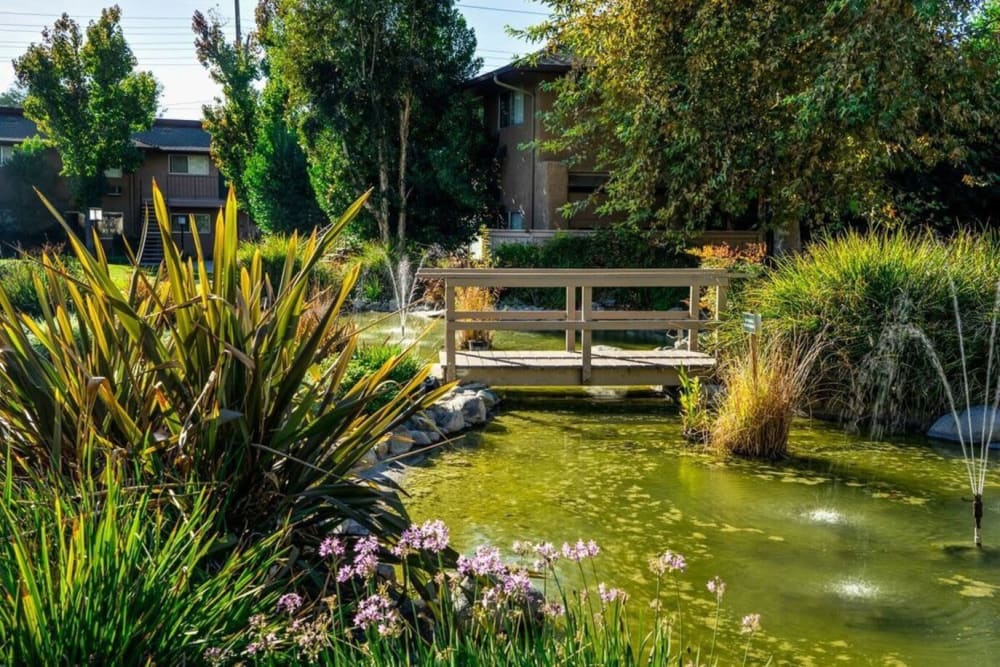 Lush plantlife outside at Casa Sierra in Riverside, California