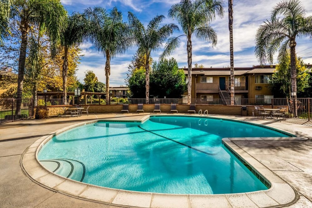 Pool and palm trees at Casa Sierra in Riverside, California