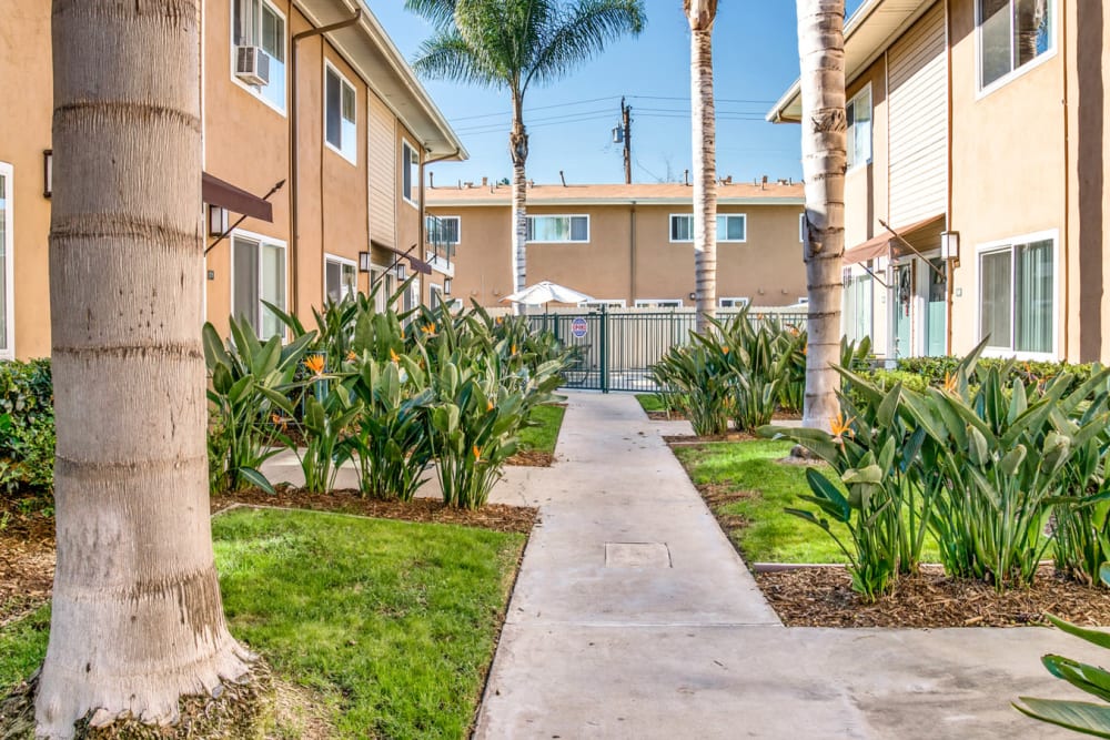 Walkways outside of Olive Tree in Costa Mesa, California