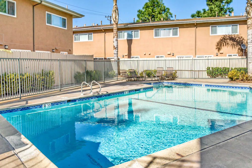 Pool at Olive Tree in Costa Mesa, California