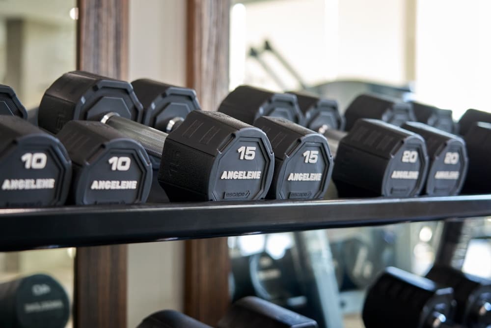 Weight rack at Angelene Apartments in West Hollywood, California