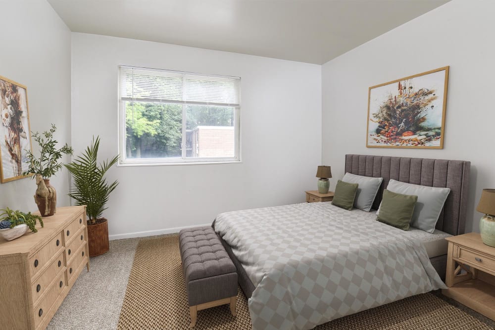 Spacious bedroom with plush carpeting at Westover Pointe in Wilmington, Delaware