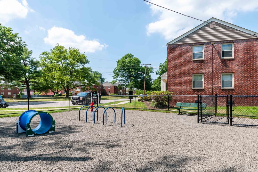 Dog park at Haven New Providence in New Providence, New Jersey