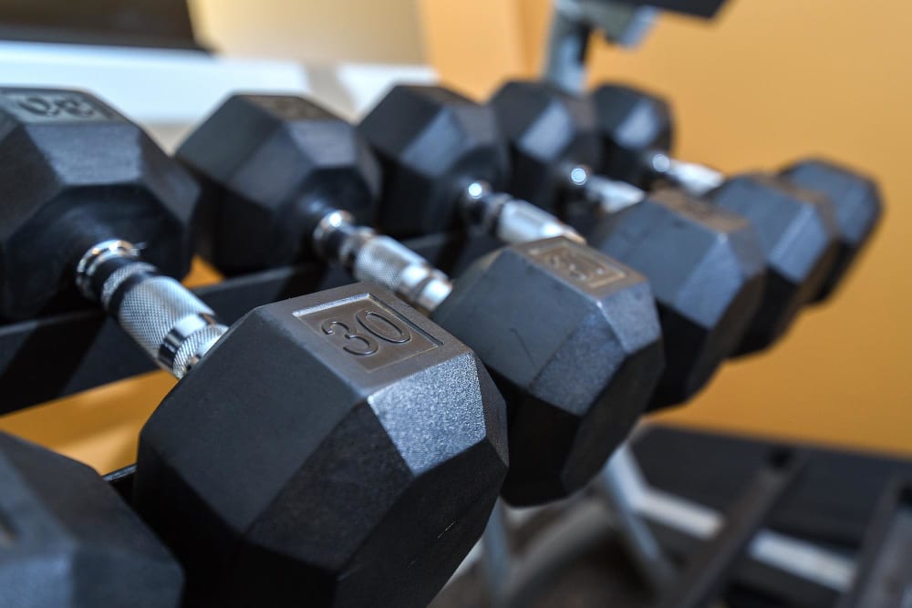 Rack of dumbbells at Parc at Maplewood Station in Maplewood, New Jersey
