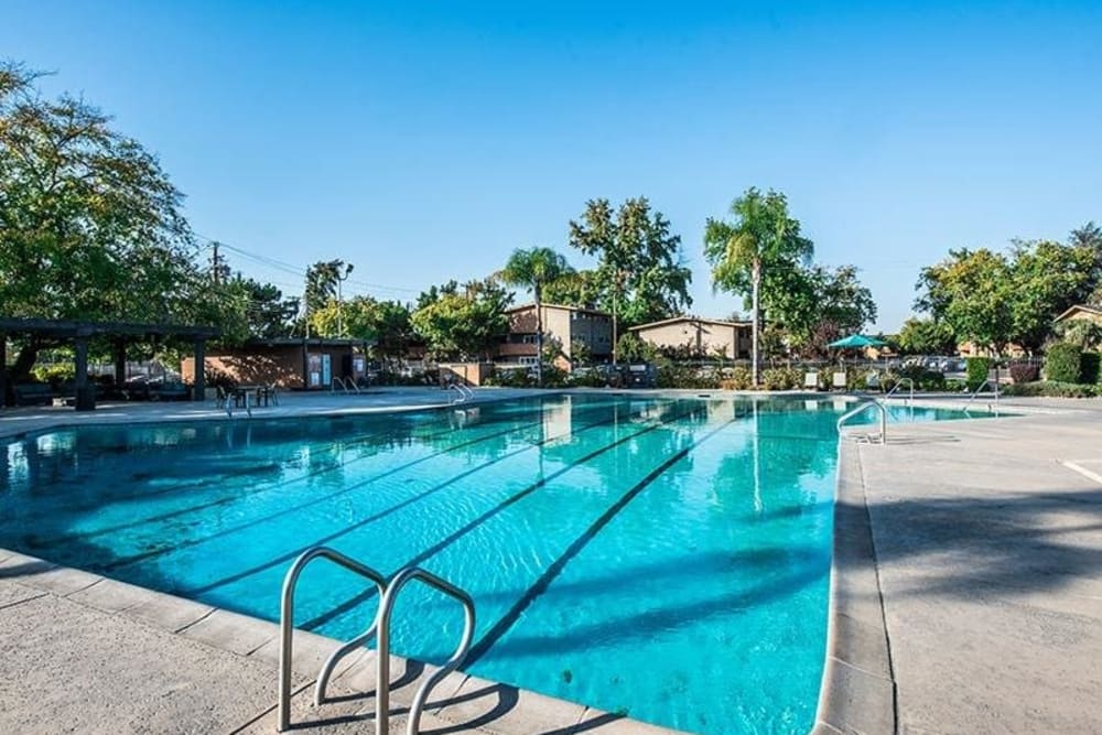 Resort-style swimming pool at The Eleven Hundred in Sacramento, California