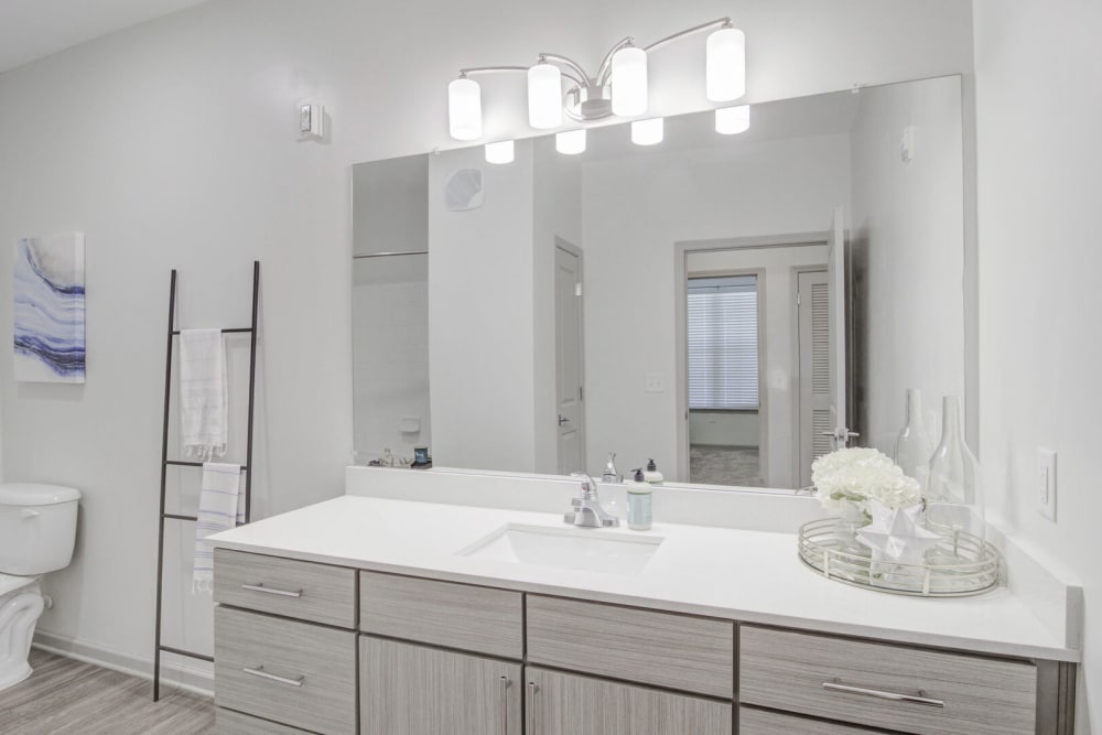 Plenty of couther space in an apartment bathroom at Bradley Park Apartments in Cumming, Georgia