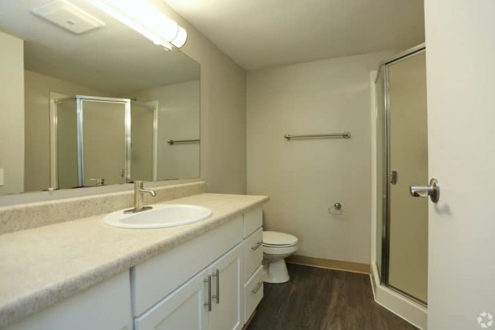 Master bathroom at Madison Park Apartments in Bothell, Washington