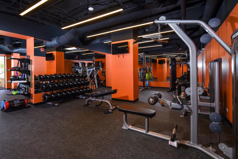Well-equipped fitness center at Landmark Glenmont Station in Silver Spring, Maryland