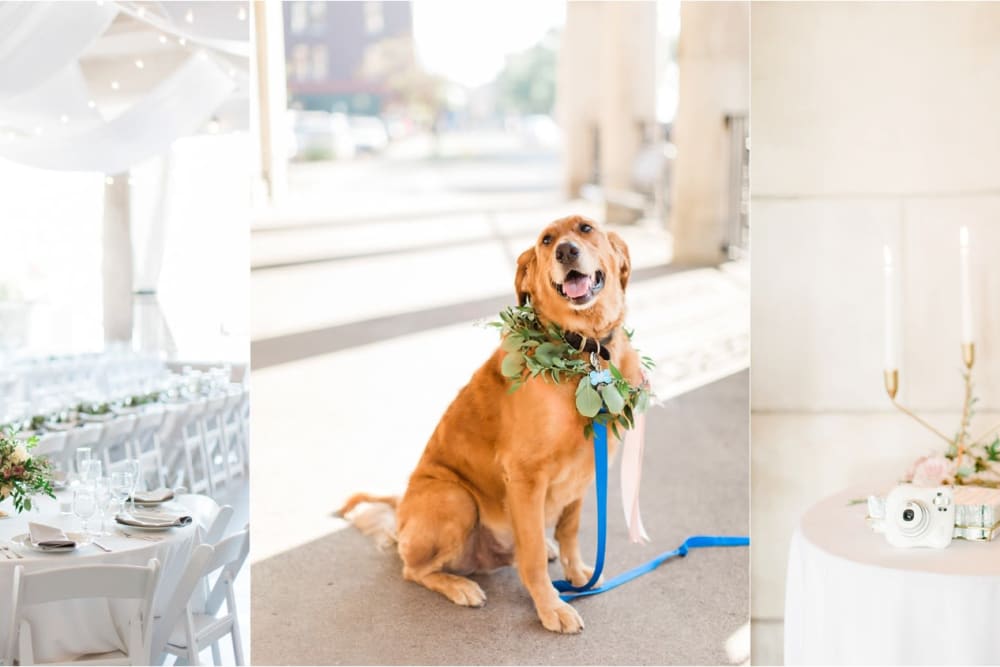 Golden retriever in the bridal party at The Whitcomb Senior Living Tower in St. Joseph, Michigan