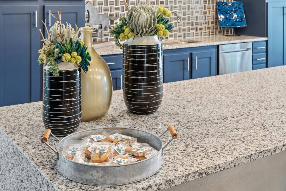 Kitchen with porcelain countertop at The Gates at Meadow Place in Willow Park, Texas