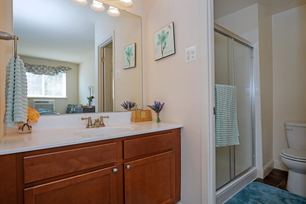 Furnished Bathroom and shower at The Addison, North Wales, Pennsylvania