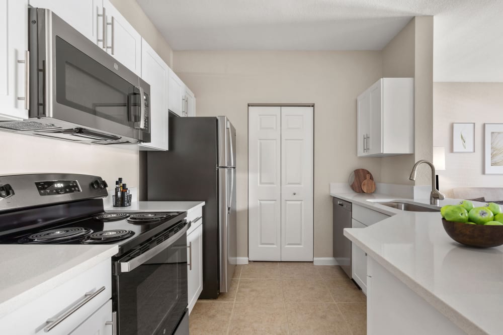 Modern Kitchen at Apartments in Clermont, Florida