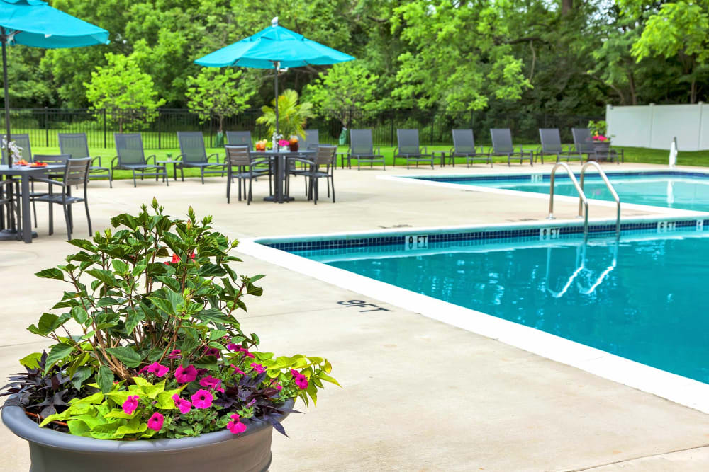 Flowers and pool deck at Valley Park, Bethlehem, Pennsylvania