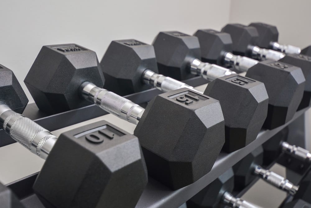 free weights at Valley Park, Bethlehem, Pennsylvania