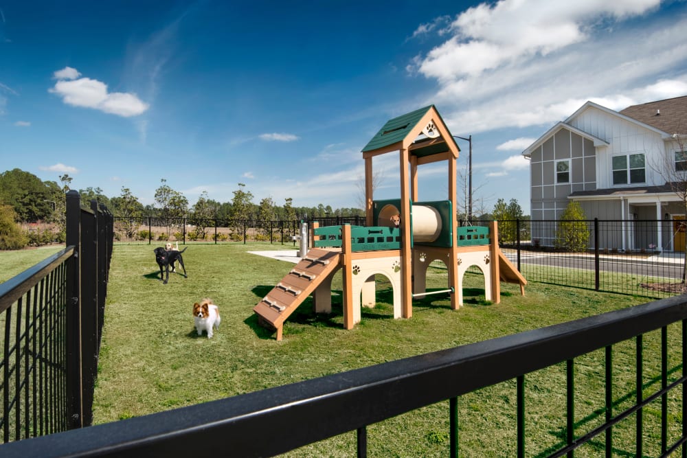 Dog park at Capital Crest at Godley Station in Savannah, Georgia