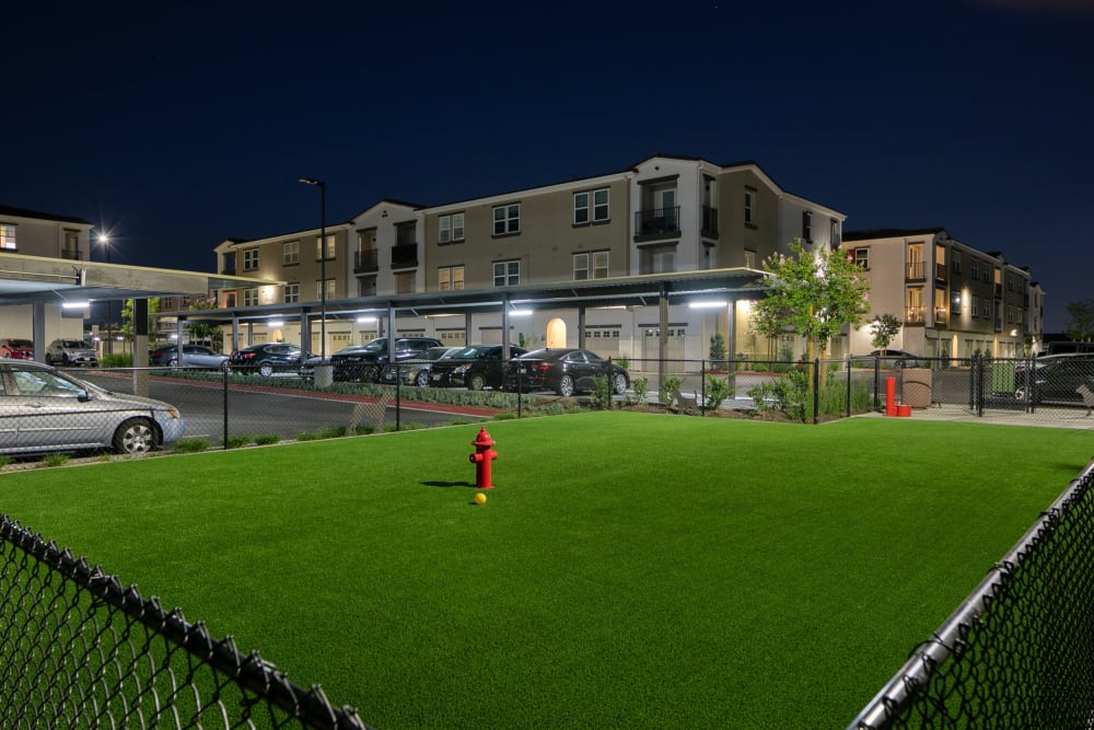 The dog park at Alivia Townhomes in Whittier, California