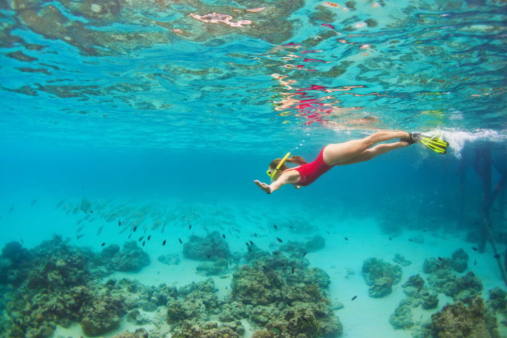 Perdido Key Snorkeling Reef near Altura in Pensacola, Florida