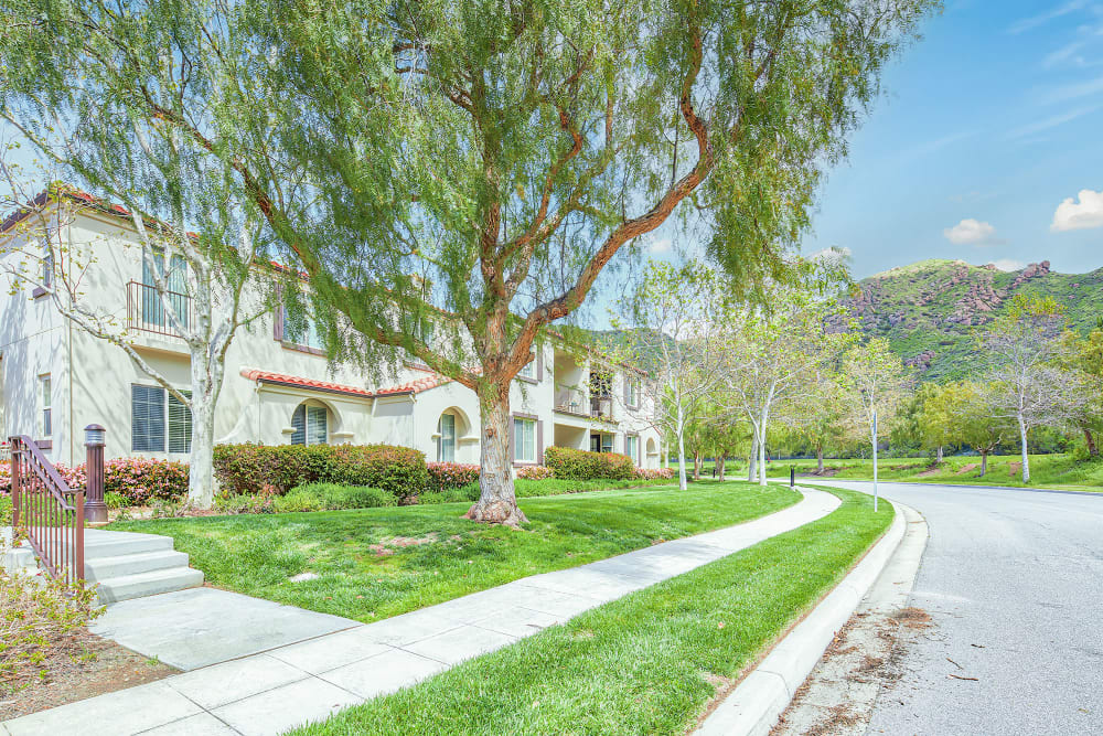 A tree-lined street at Mission Hills in Camarillo, California