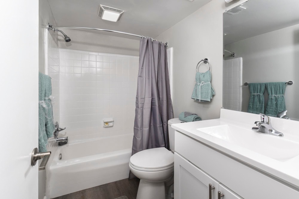  Newly Renovated bathroom at Chesapeake Pointe, Chesapeake, Virginia