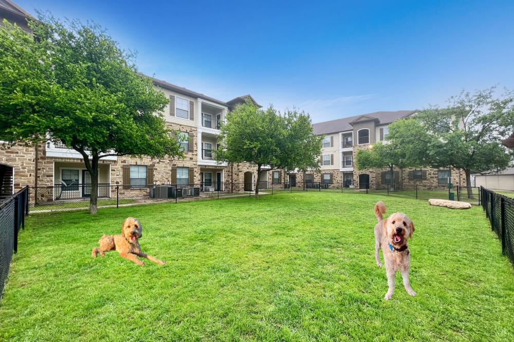 Central dog park at Broadstone Grand Avenue in Pflugerville, Texas