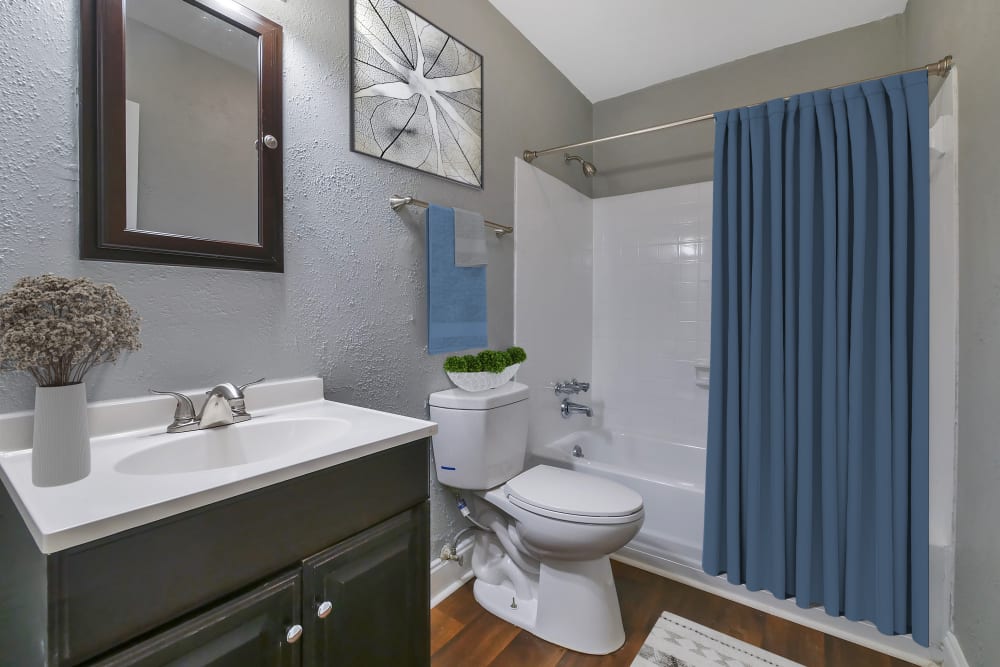 Upgraded bathroom with high end features at The Reserve at Red Bank Apartment Homes in Chattanooga, Tennessee